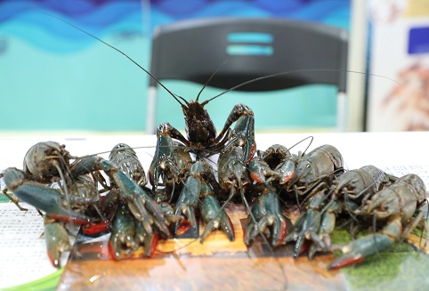 Agricultural products