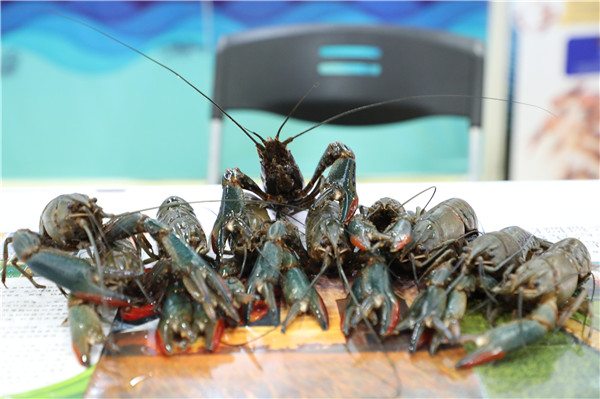 1601282706205009204.jpg 5Z4A2649.jpg