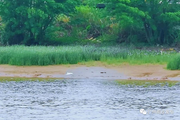 1616030359798097449.jpg 微信图片_20210317142519.jpg