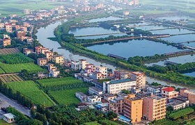 Nansha's Lanhe sees improvement in ecological environment