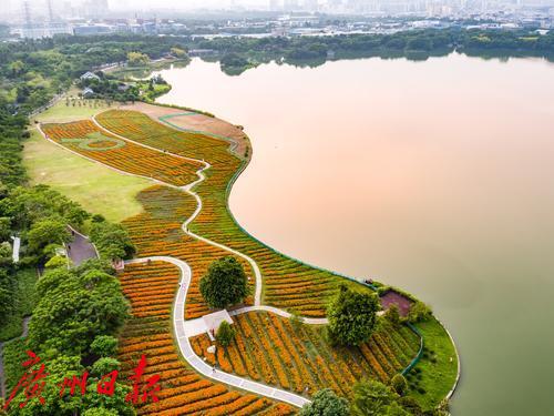 1591339189931099757.jpg 4a72fcda-a613-467b-87ca-01de56956c1f.jpg