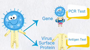 COVID-19 antigen self-test guidance