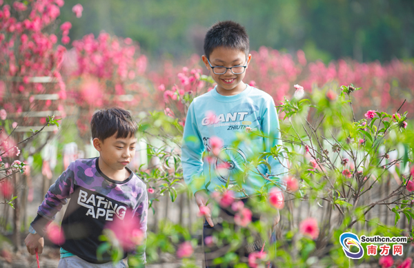 1485164649697011225.jpg 10.jpg