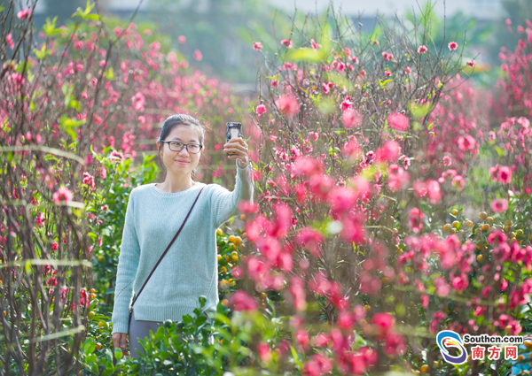 1485164641807088461.jpg 9.jpg