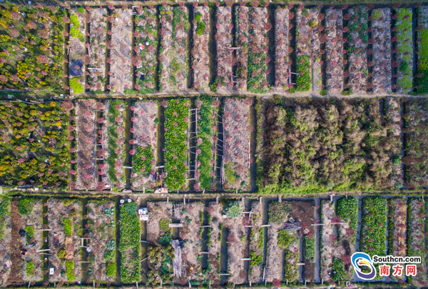 1485164657822050180.jpg 11.jpg