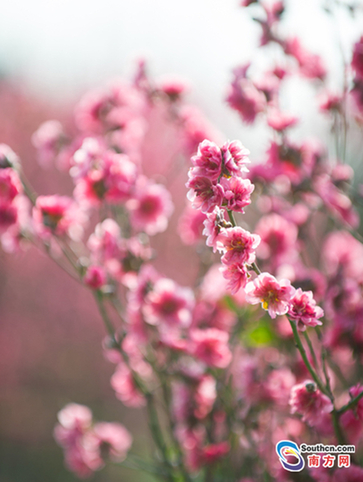 1485164577019080095.jpg 7.jpg