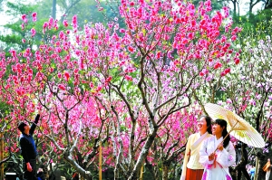 1484032637591044548.jpg 5.jpg