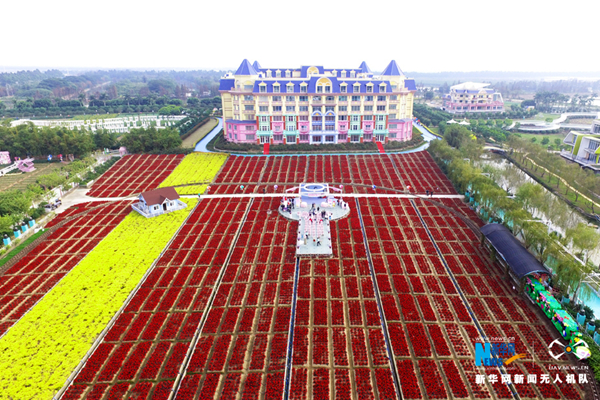 1491986920623091296.jpg 1_副本.jpg