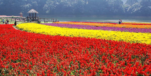 1491986944406002190.jpg shimen_副本.jpg