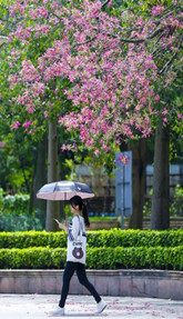 Breathtaking autumn views in Guangzhou