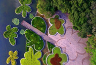 Aerial photos of scenic spots in Guangzhou