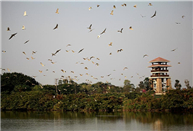 Nansha Wetland Tourism Zone