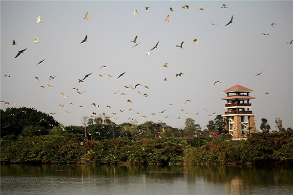 1482744950700006247.jpg 20160303104649506_副本.jpg