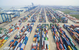 Nansha: world's fifth most convenient area for startups 