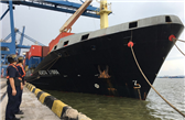 Guangzhou adds new intl marine shipping route