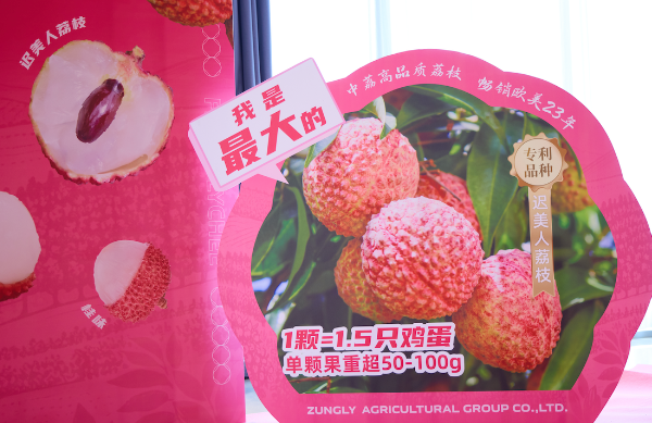Guangdong targets global market with high-quality lychee