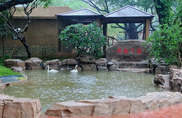 New exhibit opens at Guangzhou Zoo