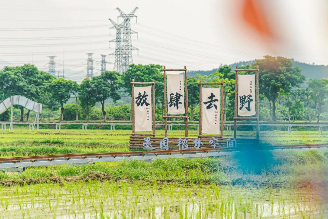 转存图片