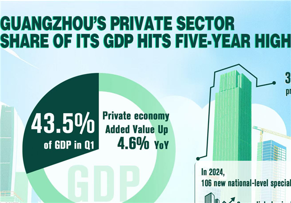 Data Explorer | Guangzhou sees private sector share reach 43.5% of its GDP, highest in 5 years