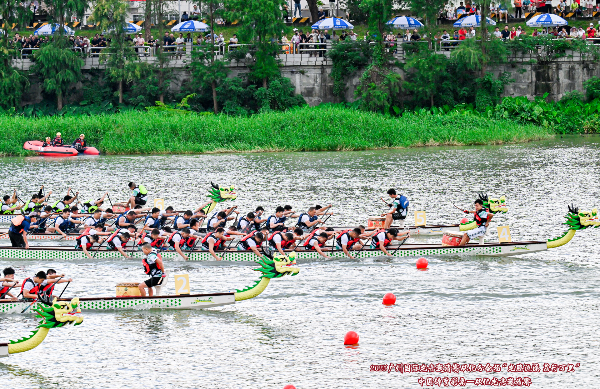 Dragon boat event in Guangzhou's Conghua draws 80,000 with lychees and fireworks