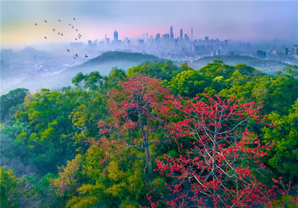 "Top Eight Sights of Guangzhou" are being chosen — Is your favorite on the list?