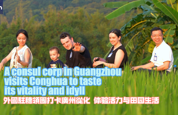 A consul corp in Guangzhou visits Conghua to taste its vitality and idyll
