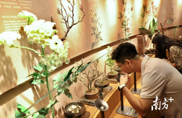 World's largest fragrance museum opens in Guangzhou