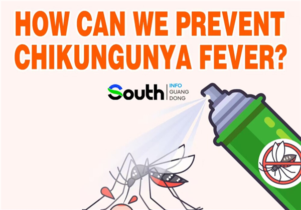 How can we prevent chikungunya fever?