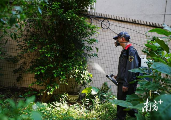 Guangzhou conducts citywide mosquito control operations in two daily sessions