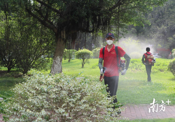 Guangzhou designates high-risk zones for chikungunya