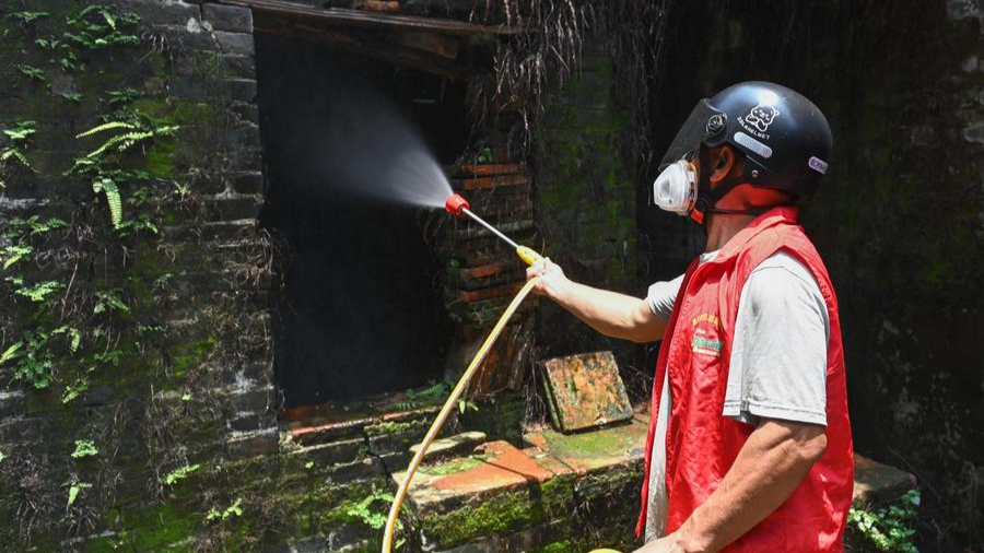 South China's Guangdong sees decline in new Chikungunya cases