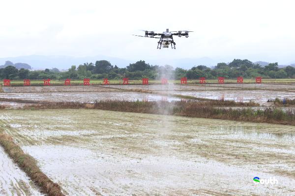 Drones deployed in Guangzhou's Conghua for epidemic prevention and agricultural development