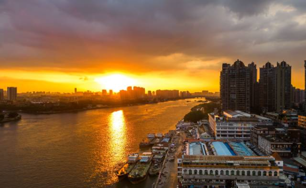 Guangzhou's Huangsha Aquatic Products Center relaunches as mega smart hub