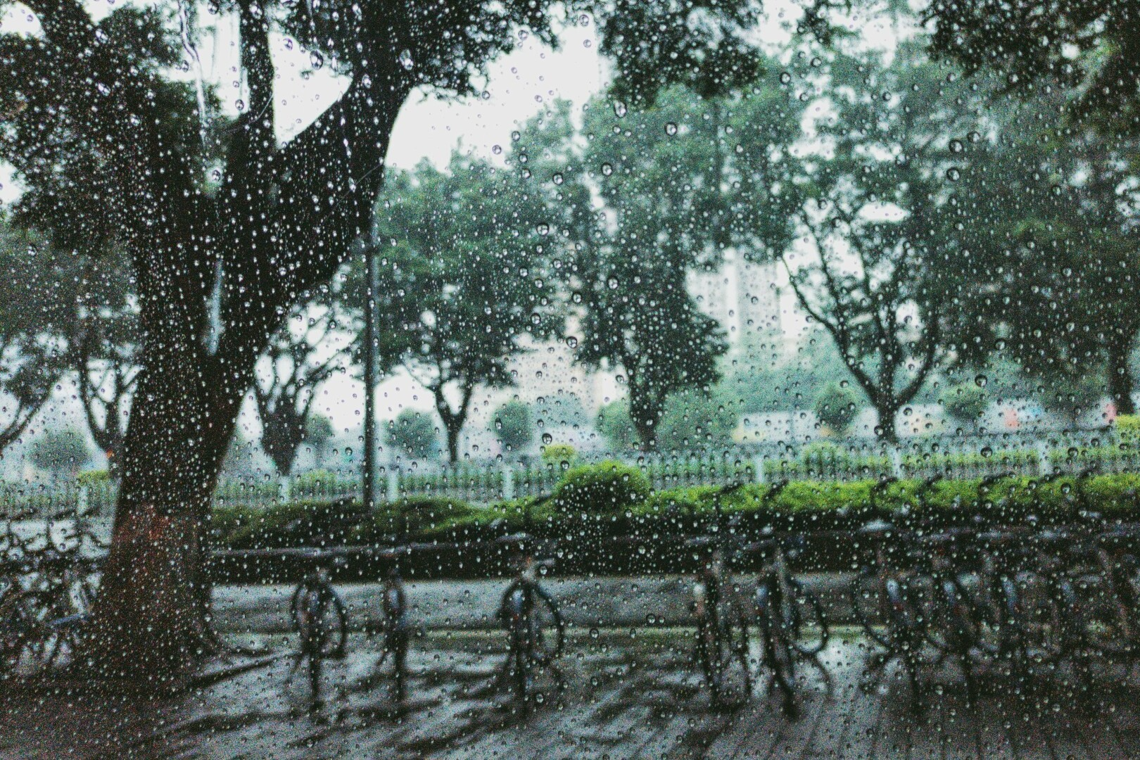 A letter to all residents in Guangzhou