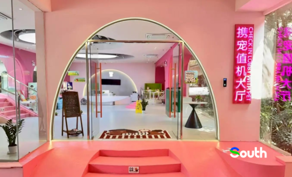 Stress-free pet travel: Inside Guangzhou's animal-friendly airport