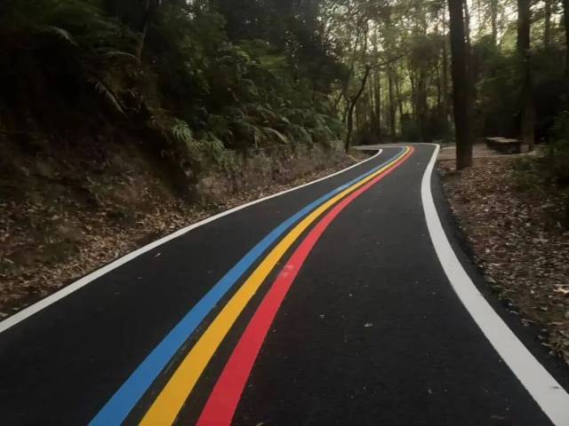 Guangzhou to open 140-km forest trail linking major ecological cores