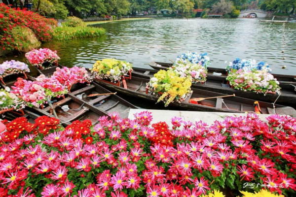 Guangzhou to host Waterborne Flower Market and Spring Flower Show for 2026 Spring Festival