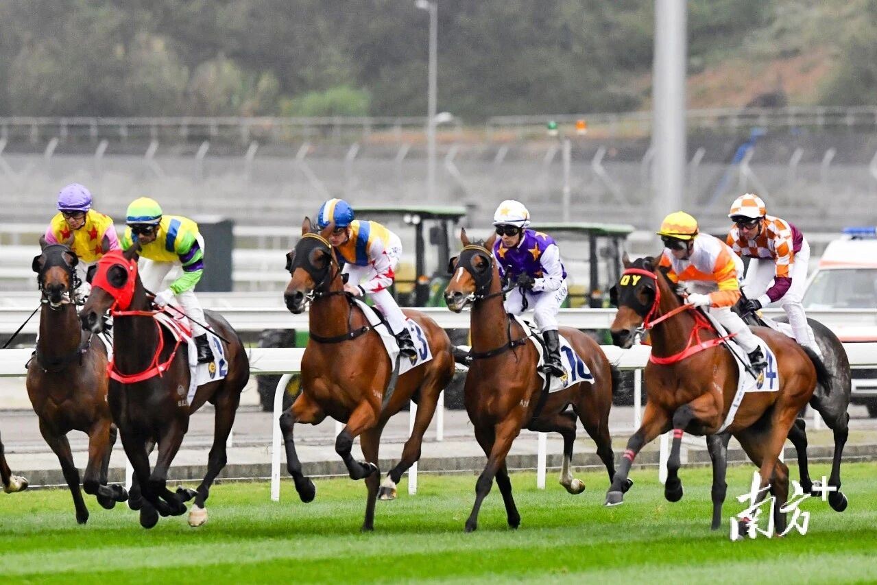 Guangzhou to resume horse racing after 27-year hiatus