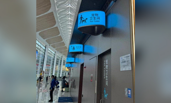 Guangzhou airport sets up pet restroom, to cater to growing passenger demand