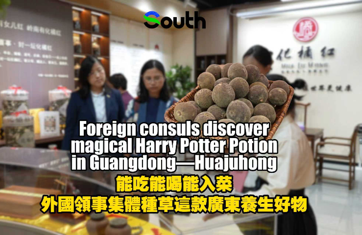 Foreign consuls discover magical Harry Potter Potion in Guangdong—Huangjuhong