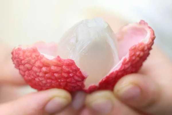 Sweet litchi-longan hybrid developed in Guangzhou