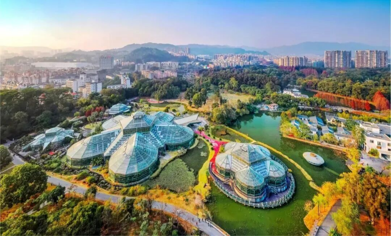 One ticket, three gardens: Explore Guangzhou's botanical treasures