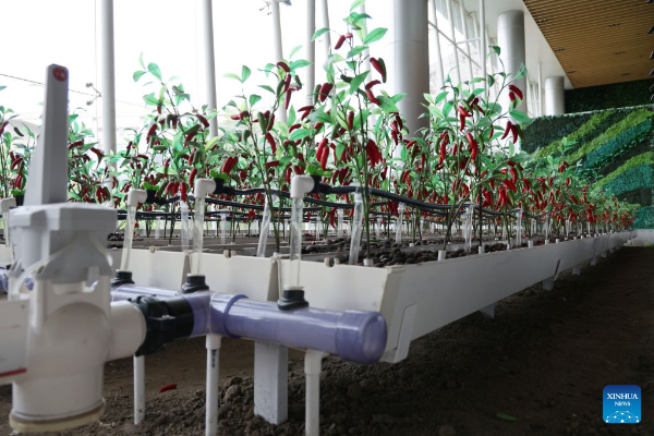 A look at agritech robot maker in Guangzhou, China's Guangdong
